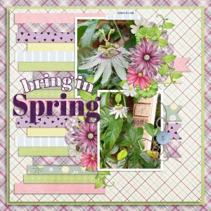 Apr22 MemoryMixUp