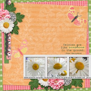 Daisies