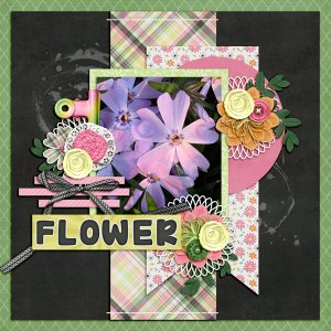 Spring Flower