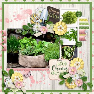 Herb Garden