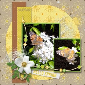 Spring Chickens