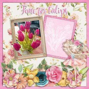 Time-for-tulips1