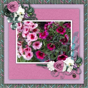 Summer flowers