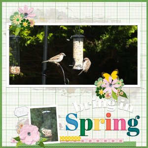 April Sparrows
