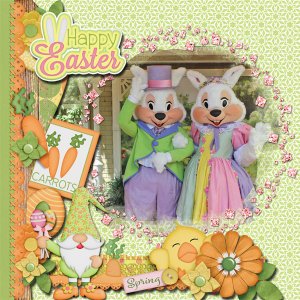 Mr.+ Mrs Bunny