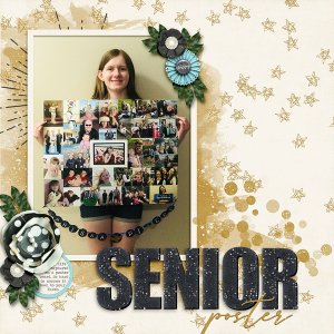 ~Senior Poster~