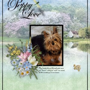 Puppy Love