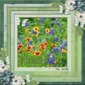 Wild Spring - Texas - April 2012