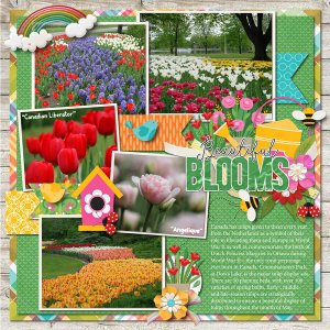 Bring On Spring