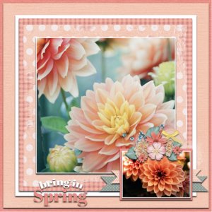 April_Mix_up_copy