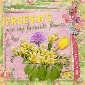 Freesia's