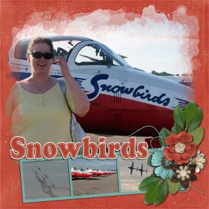 Snowbirds