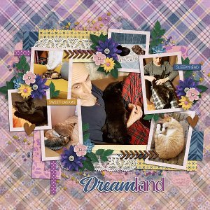 Dreamland