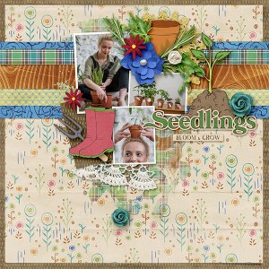 Seedlings