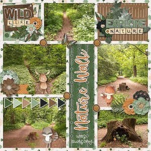 Nature Walk
