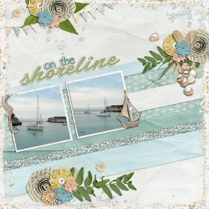 on the shore
