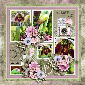 Jsd_JYL042022_MiniKIT-600
