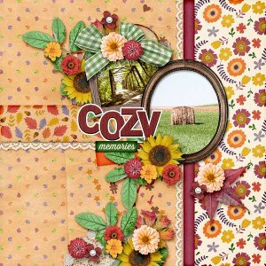 Cozy Memories