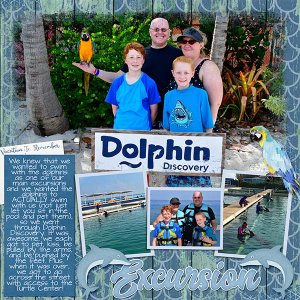 2019 Swim with dolphins
