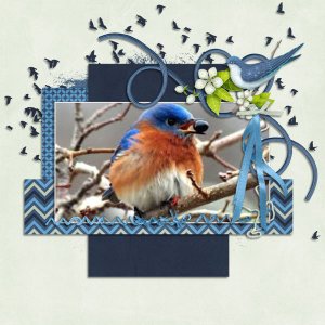 Blue Bird