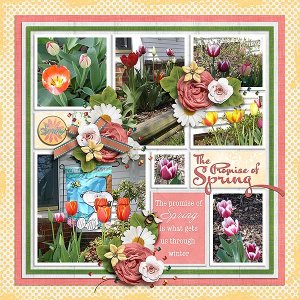 promise of spring