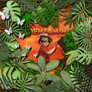 Safari Benjamin