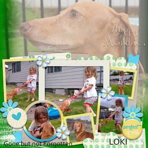 Vail Loki