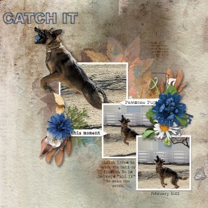 Catch-It-web