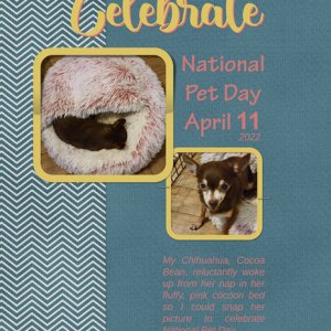 Celebrate National Pet Day