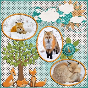 Foxes
