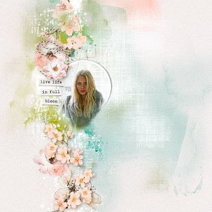 bloom