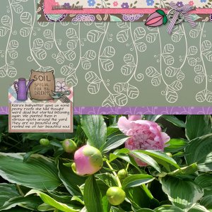 Peonies