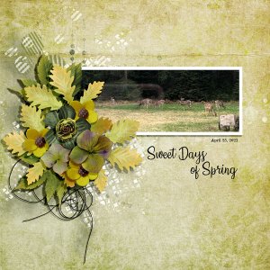 SWEET DAYS OF SPRING