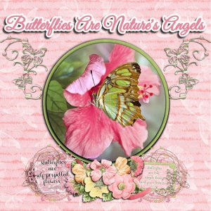 Butterflies are Natures Angels