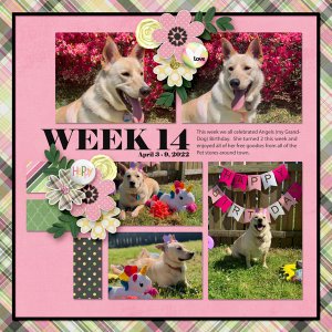 Week 14