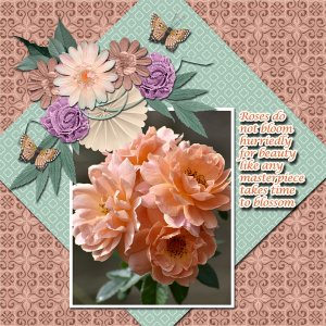 Roses