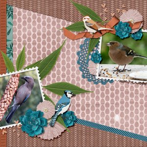Birds
