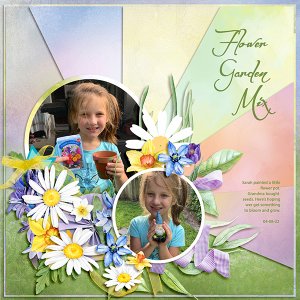 Flower Garden Mix
