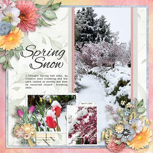 Spring-Snow2