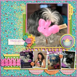 Minnie + Her Peeps 2016-2018