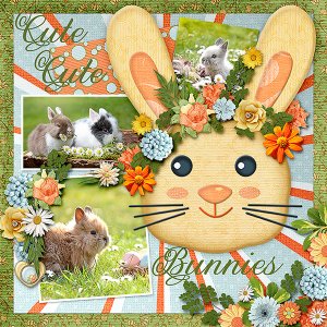 Cute Bunnies