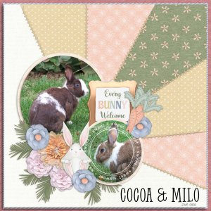 Cocoa + Milo