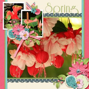 Spring Flowers