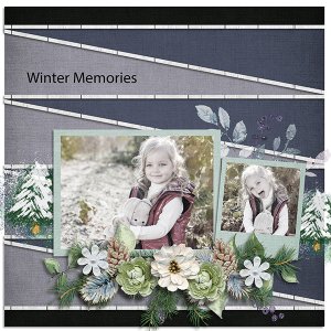 Winter Memories
