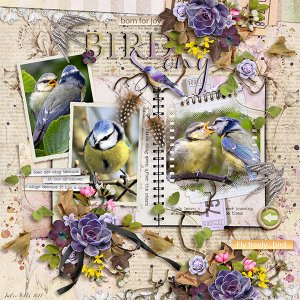 bird song