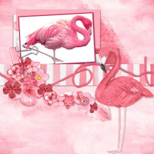 Flamingo