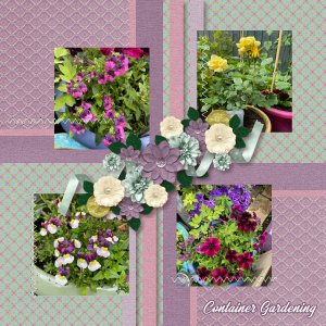 Container Gardening