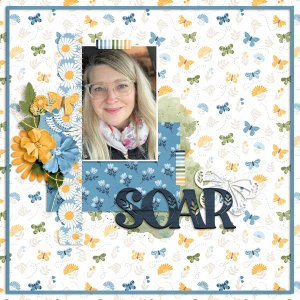 Soar