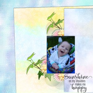 Sunshine Happiness