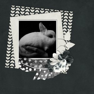 Monochrome Bunny